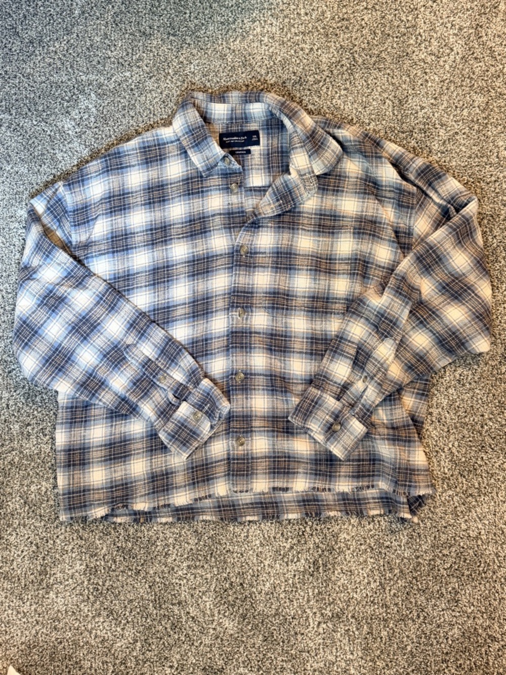 Abercrombie & Fitch Blue and White Plaid Button-Down Shirt